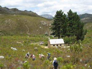 Photo of the descent to the Paarl/Wellington Section's Krom River Hut