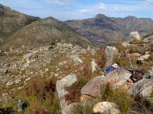steenboks-hack_02