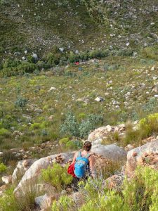 steenboks-hack_03