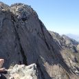 Martin above the Waaihoek Slabs