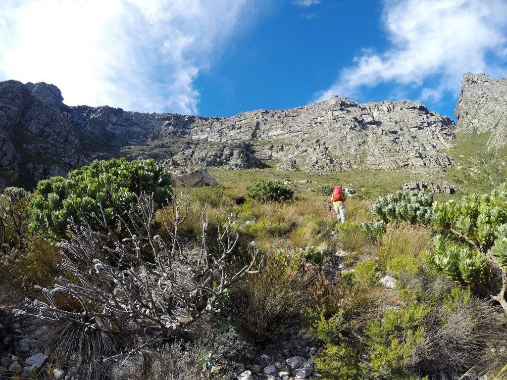 Three ledges – Table Mountain