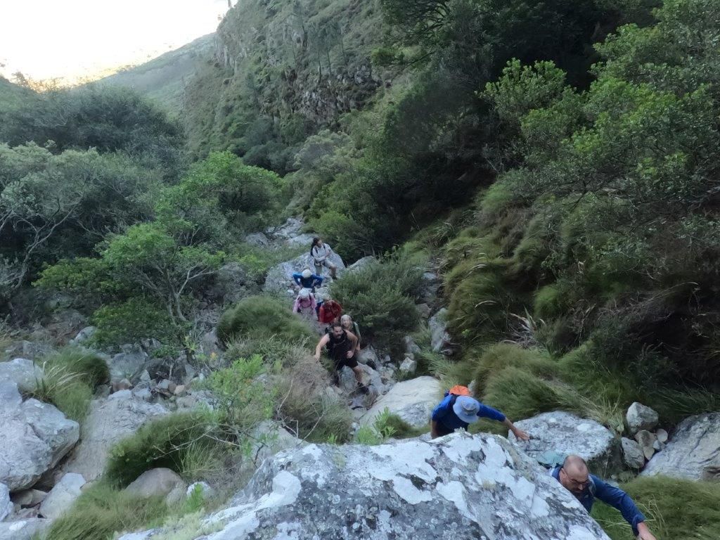 Blinkwater Ravine
