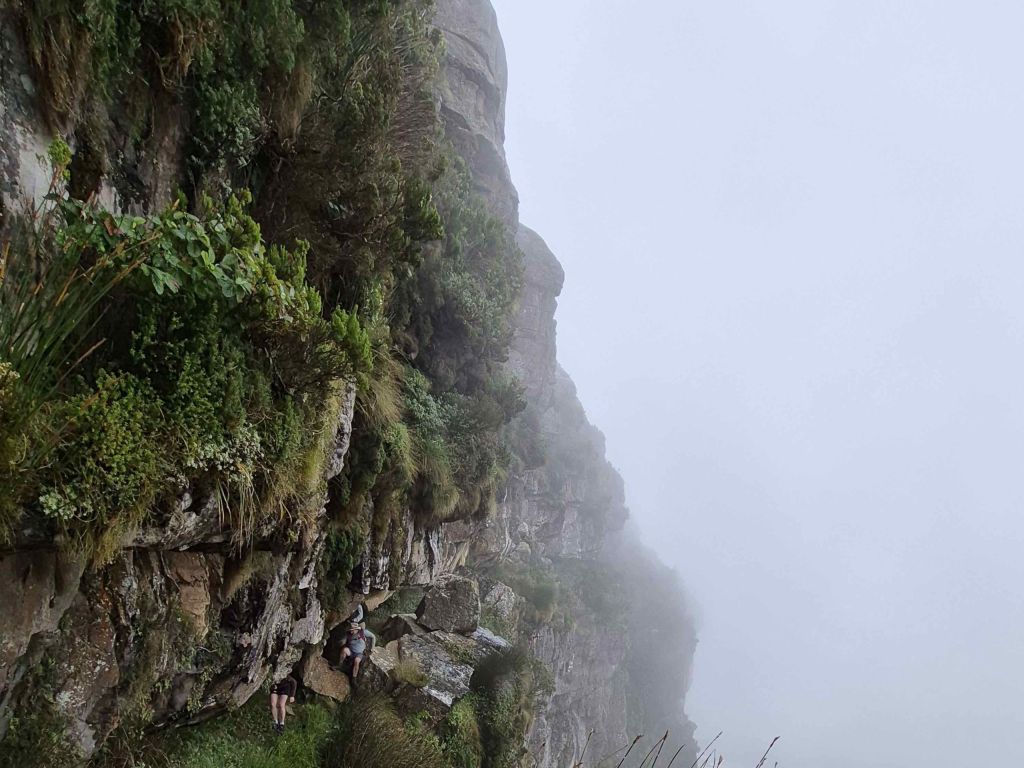 Carrel’s Ledge