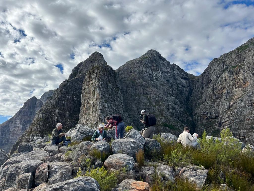 Dragoon Buttress