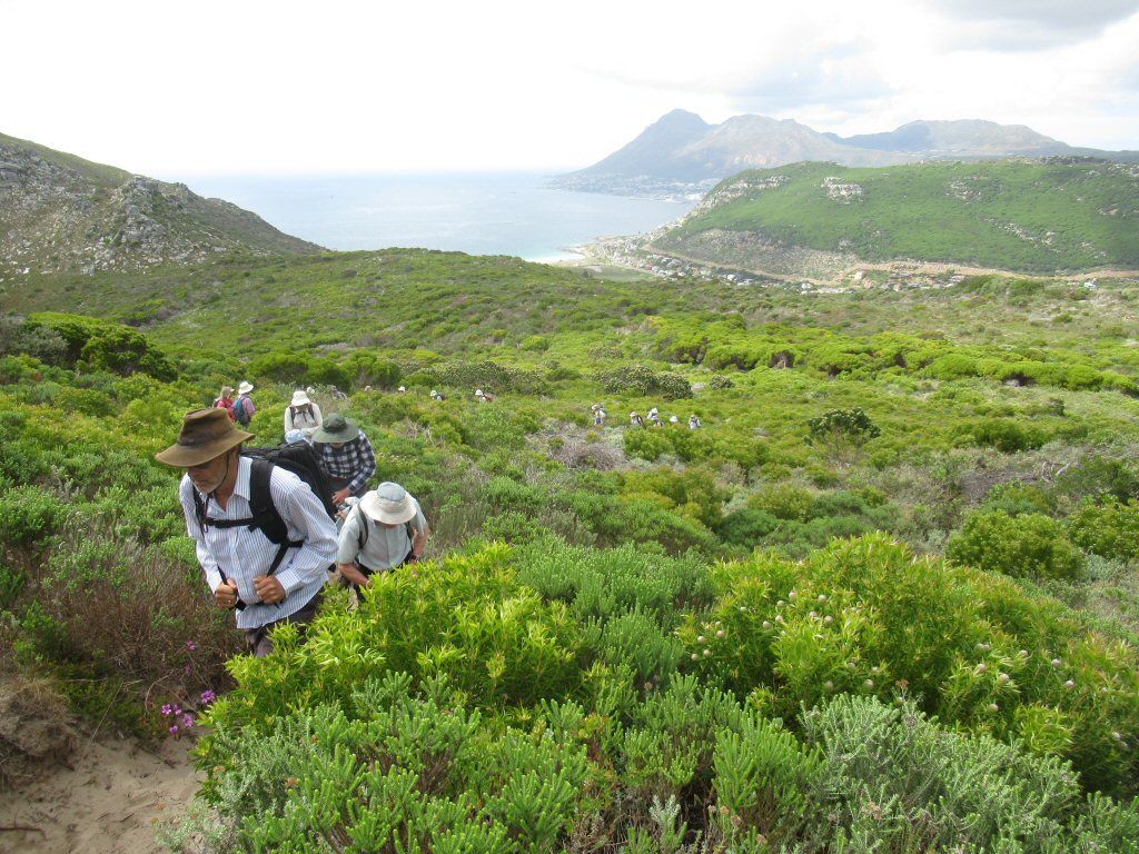 Brakkloof – Elsies peak