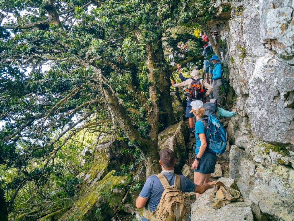 Grootkop via YellowWood Traverse