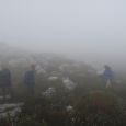 Enjoying the isolation in the mist along the Panorama Route.