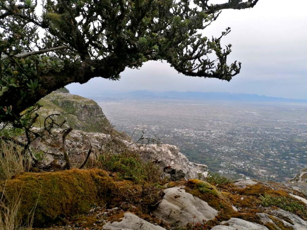 Skeleton Gorge to Nursery Ravine