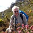 On Devil's Peak, with the critically endangered Erica abietina subsp. diabolis, the Devil's Heath