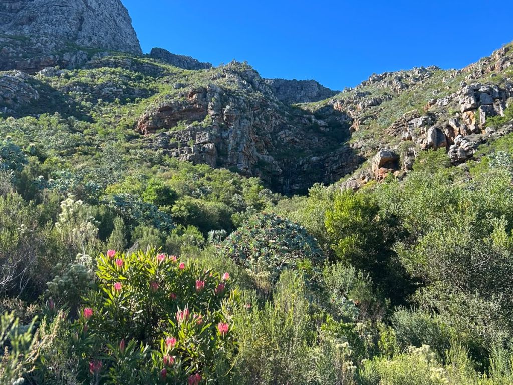 Paradyskloof waterfalls
