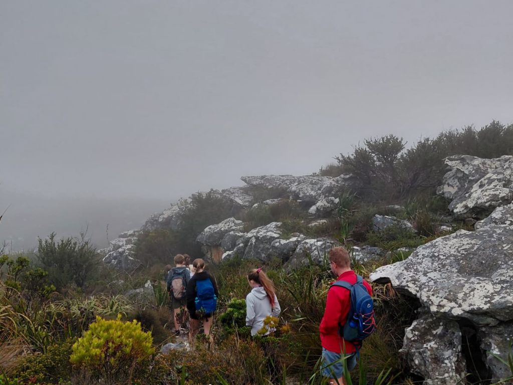 Constantia Corner – Family Hike