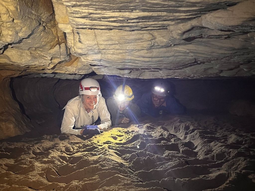 Ystervark Cave