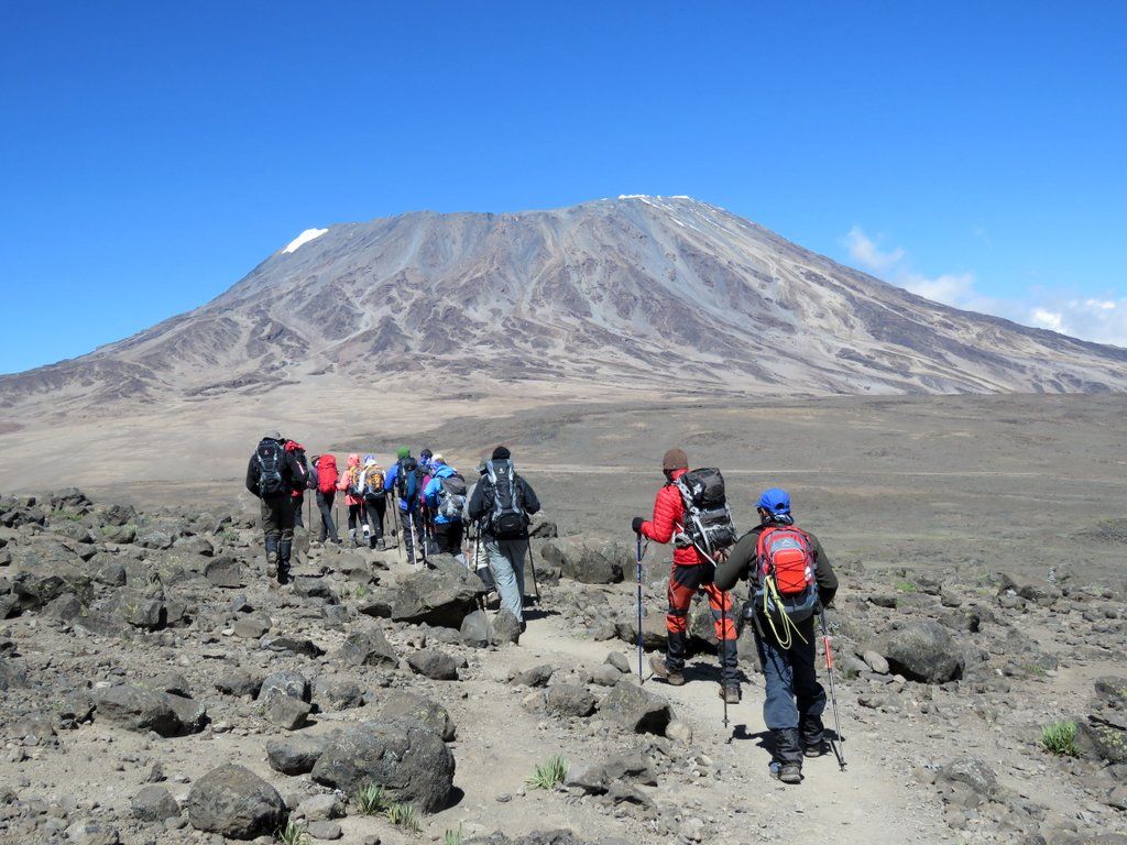 SAMJ Wilderness Medicine Articles