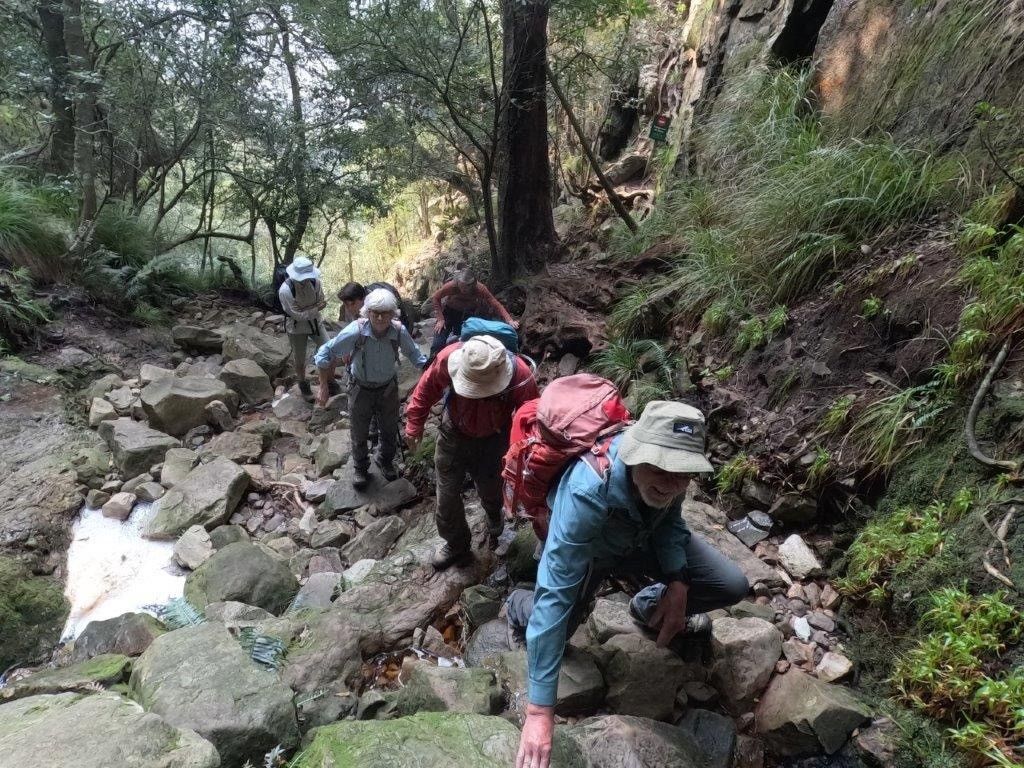 Skeleton Gorge to Ash Valley